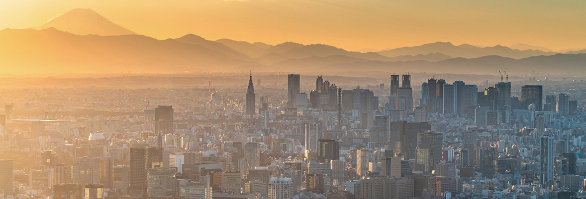 実績・登録背景